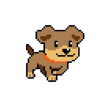 My Dog